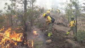 Check spelling or type a new query. Tenerife Se Enfrenta A Un Verano Con Alto Riesgo De Incendio Forestal Tenerife Cope