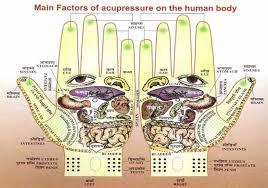 30 You Will Love Acupressure Body Chart