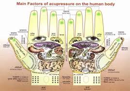 30 You Will Love Acupressure Body Chart