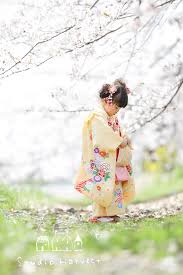 パパラン パパ 撮影 スタジオ