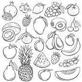 Vector Sketch Fruits And Berries Icons Set Decorative Retro Style Fruit Illustration Vector Sketch Fruit Sketch