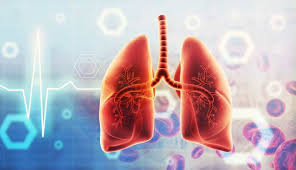 Hantavirus: Sintomi e Trasmissione del Virus | OK Salute