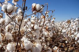 Lindsay Releases MAXfield GPS Guidance