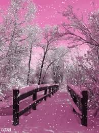 — stock image & photo. Laladybug Winter Scenes Pink Christmas Winter Wonder