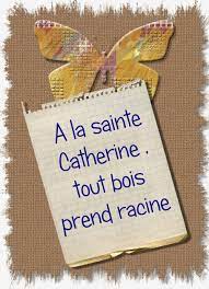un petit proverbe pour vous rappeler la tradition envoyer une carte aux catherinettes https bit ly 2qn9xtd sainte catherine carte carte ancienne