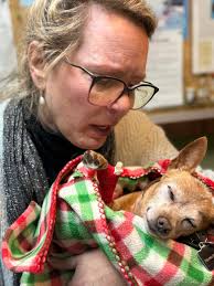 Saying Goodbye to a Beloved 20-Year-Old Pet Cat