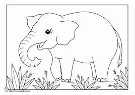Bukan hanya lembar latihan menulis untuk anak saja dalam modul kali ini. Gambar Mewarnai Hewan Pdf 12 Halaman Free Download