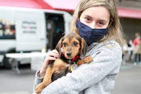 We did not find results for: Atlanta Humane Society Hosting Pop Up Adoption Day In Alpharetta