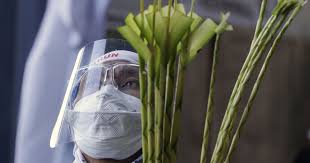 Що не можна робити в це свято гарного вам свята! Novini Ukrayini Sogodni Katoliki Svyatkuyut Vhid Gospodnij U Yerusalim