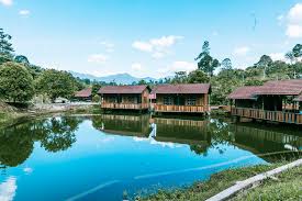Berwisata menjadi lebih cerdas dengan agoda! Ajlaa Village Resort Camp