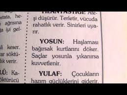 Bagirsak Kurtlarini Doker Bu Meyve Youtube