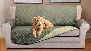 How to get dog hair off a couch. Getting Dog Hair Off Furniture Blog Kuranda Dog Beds