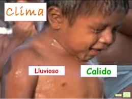 Municipio maracorrecto