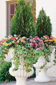 22 Ways To Use Pansies Violas In Containers Fall Container Gardens Winter Container Gardening Container Flowers