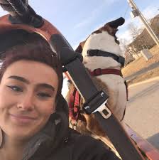 Best Dog Walker in Pomona, KS with verified reviewers