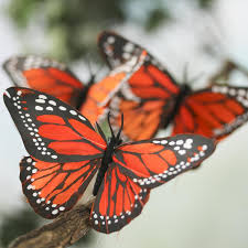 To the untrained eye, most monarch butterflies look pretty similar. Artificial Monarch Butterflies Birds Butterflies Basic Craft Supplies Craft Supplies Factory Direct Craft