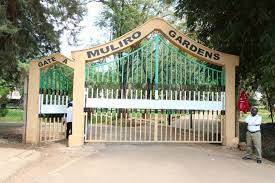 Kakamegamuliro gardens new hot photos mombasa411 blog muliro gardens uncut you caught in the act on bench at muliro gardens kakamega muliro gardens and other top places to visit in kakamega county. Muliro Gardens Is Now Set For Standard Digital Facebook