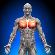 Push Ups To Increase Strength And Build Lean Muscle A Lean Life