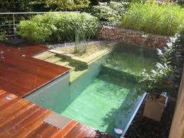 Der Okologische Schwimmteich Im Garten Naturliche Wasserreinigung Naturschwimmteich Naturschwimmbader Und Kleiner Pool Ideen