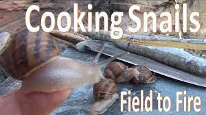Slosh in some cognac or substitute white wine for half of the water. Catch N Cook Snails Survival Escargot Youtube
