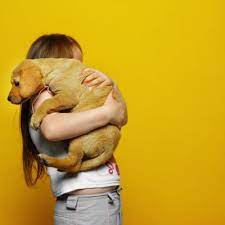 Can Your Puppy Get Sick From Wood Pellet Litter
