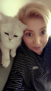 İnsanları tanıdıkça hayvanları daha çok seviyorum 💛💛💛💛💛💛💛💛💛💛💛💛💛