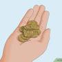 Sell gold coin for cash from www.wikihow.com