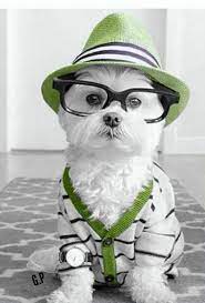 Very Intelligent Color Splash Photo Color Splash Photography Color Splash