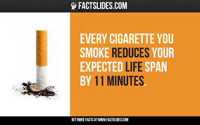 Pin On Wtf Fun Facts