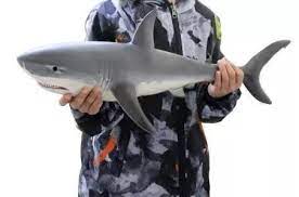 Us 55 99 Lifelike Baby Shark Doll M Sheinv Com