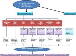 Symptoms, causes and how it can be related to tinnitus is a latin term tinnire meaning to ring. Tinnitus And Its Current Treatment Still An Enigma In Medicine Sciencedirect