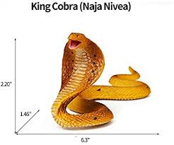 It also will help you learn about a species of snakes. 8pcs Snake Figurines Realistic Snake Prank Props Scary Snake Toy Scare Birds Cobra Snake Boa Constrictor Coral Snake Rattlesnake Wilde Life Figures Buy Online At Best Price In Uae Amazon Ae