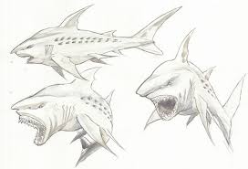 Download megalodon coloring pages and use any clip art,coloring,png graphics in your website, document or presentation. Megalodon Coloring Pages