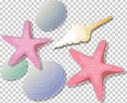 Starfish Png Clipart Animals Chart Depositfiles Drawing