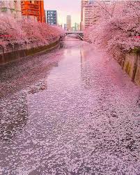 Pin By Redapparelonline Women S Fas On Things To See Before You Die Japan Photography Aesthetic Japan Landscape Photography