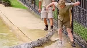 The show's second season was released after irwin's death, and he can be seen in the. Robert Irwin In Terrifying Crocodile Encounter As Bindi Irwin Shares Baby Update 7news Com Au