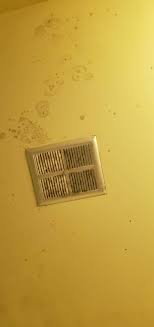 About press copyright contact us creators advertise developers terms privacy policy & safety how youtube works test new features press copyright contact us creators. How Do I Clean Mold Off My Bathroom Ceiling Home Improvement Stack Exchange