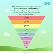 ***revisi pada 5 kingdom, plantae memiliki ciri aututrof bukan heterotrof, hal ini sesuai dengan kemampuan tumbuhan berfotosintesis, sehingga mampu membuat. Seperti Apa Sistem Klasifikasi 5 Kingdom Whittaker Biologi Kelas 7