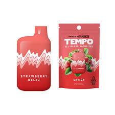 Image result for Wild Strawberry 1991 Tempo