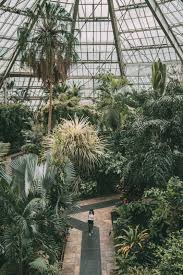 Decouverte De Nice Et De Son Arriere Pays City Guide Black And Wood Jardin Tropical Jardin Botanique Plantes En Serre