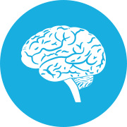 Brain Icon Png Brain Icon Png Decor