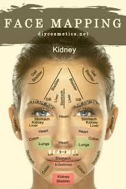 We did not find results for: Anatomy Mapper Cardiac Anatomy For Catheter Mapping And Ablation Of Legal Entity Anatomy Mapper Llc Is A Business Company Registered In The Register Of State Ohio With The Entity