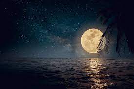 Check spelling or type a new query. 5 Ace Paper Beautiful Night Moon Scene Poster Multi Amazon In Home Kitchen