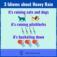 3 Idioms About Heavy Rain Idioms Raining Cats And Dogs Learn English