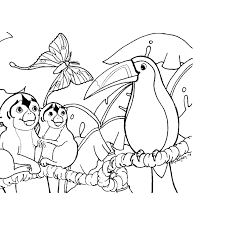 Coloring Pages Of Rainforest Animals Rainforest Animals Animal Coloring Pages Amazon Rainforest Animals