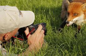 20 Pictures Showing That Nature Photographers Have The Best Jobs Ever Animals Photographer Humor Nature Photographs