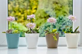 Looking for wholesale plastic plant pots wholesale? Plastic Plant Pots Wholesale