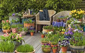 Cracked plastic pots, i tape with gorilla tape. How To Crack Container Gardening The Telegraph