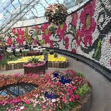 All About Flowers Exhibition The Calyx Royal Botanic Garden Sydney Vertical Garden Botanical Gardens Flower Show