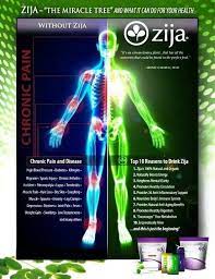 Home Zija Independent Distributor Zija Moringa Benefits Nutrition Documentaries